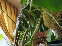 -桃花坞·私房菜餐厅(龙湖时代天街店)