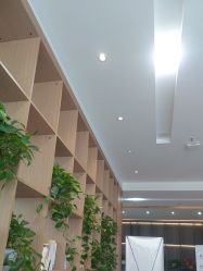 -碧莲盛·不剃发植发