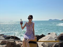 -广东惠东海龟国家级自然保护区