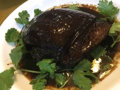 -呼吸森林·生态农庄农家乐私房菜