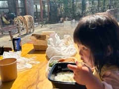 -上海野生动物园老虎餐厅