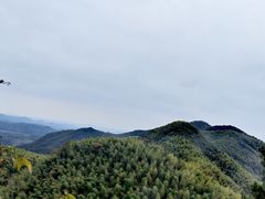 -莫干山风景区