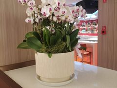 -海底捞火锅(杭州庆春路夜宵主题店)
