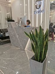 -AYO SALON