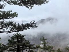 -朱雀国家森林公园