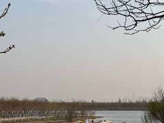 -天津东丽湖风景区