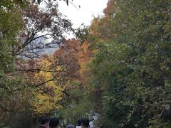 -少华山国家森林公园