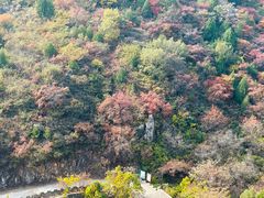 -府君山公园
