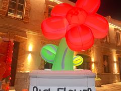 -地二手作鱼汤馄饨(上街里店)