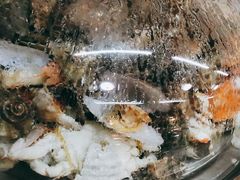 -港畔赶海蒸汽海鲜烧烤自助(仙螺岛店)