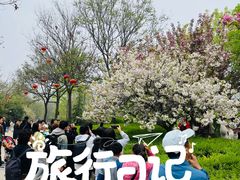 -西安青龙寺遗址景区