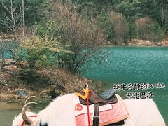 -玉龙雪山蓝月谷