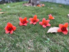 -文华公园(禅城区)