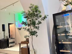 -春树下·树屋花房西餐厅(罍街AS1980店)