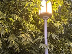 -月湖风景区