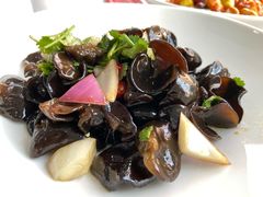-九头鸟酒家(东高地店)
