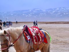 -青海湖国家重点风景名胜区