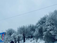 -太子岭滑雪场