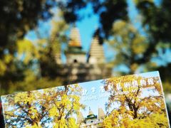 -北京石刻艺术博物馆(五塔寺)