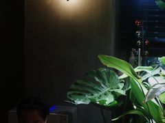 -溪岸路花鸟市场