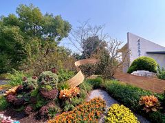 -上海滨江森林公园