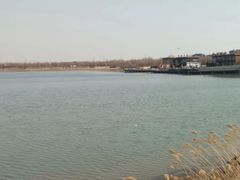 -武清南湖绿博园