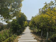-芒洲湿地公园