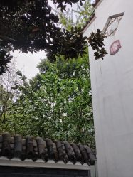 -莲生母婴月子中心(清水河公园店)