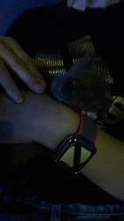 -BBVR团建聚会体验馆·亲子DIY手工