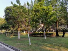 -四川大学(华西校区)