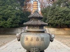 -灵谷景区