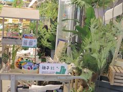 -老乡鸡(上海白玉兰广场店)