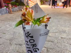 -饵块食光·云南有机手作饵块
