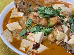 -煲来饱去冷水鱼