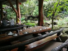 -绿光森林餐厅