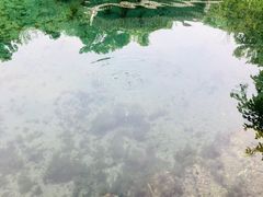 -南京珍珠泉风景区