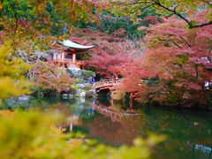 -醍醐寺