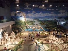 -自贡恐龙博物馆