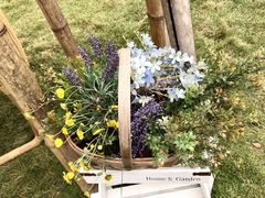 -竹里云溪食野庭餐厅