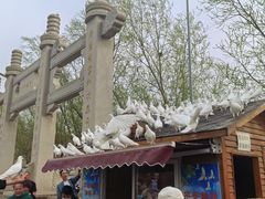 -天津妈祖文化园