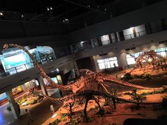 -自贡恐龙博物馆
