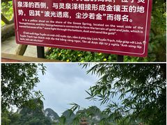 -靖西鹅泉风景区