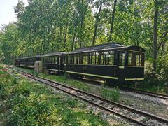 -合肥滨湖国家森林公园