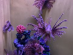 -台州海洋世界