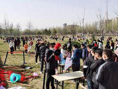 -汉长安城未央宫国家考古遗址公园