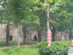 -秦皇岛野生动物园
