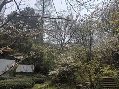 -杭州西湖湖滨银泰亚朵酒店