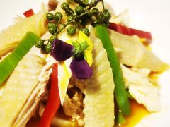 椒麻鸡-必点海鲜·鲅鱼水饺(鞍山西道店)