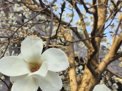 -护国法轮寺