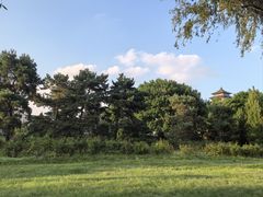 -莲花池公园